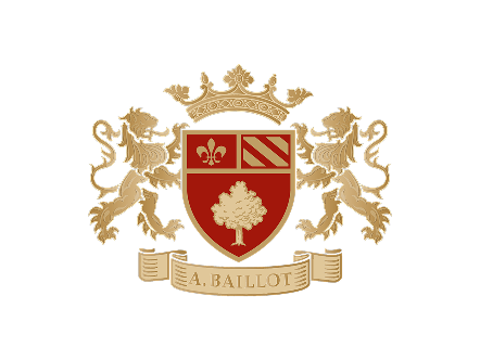 Arnaud Baillot